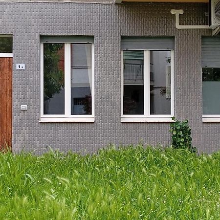 Ferienwohnung Il Roseto Di Cremona, Luminoso Monolocale Indipendente Exterior foto